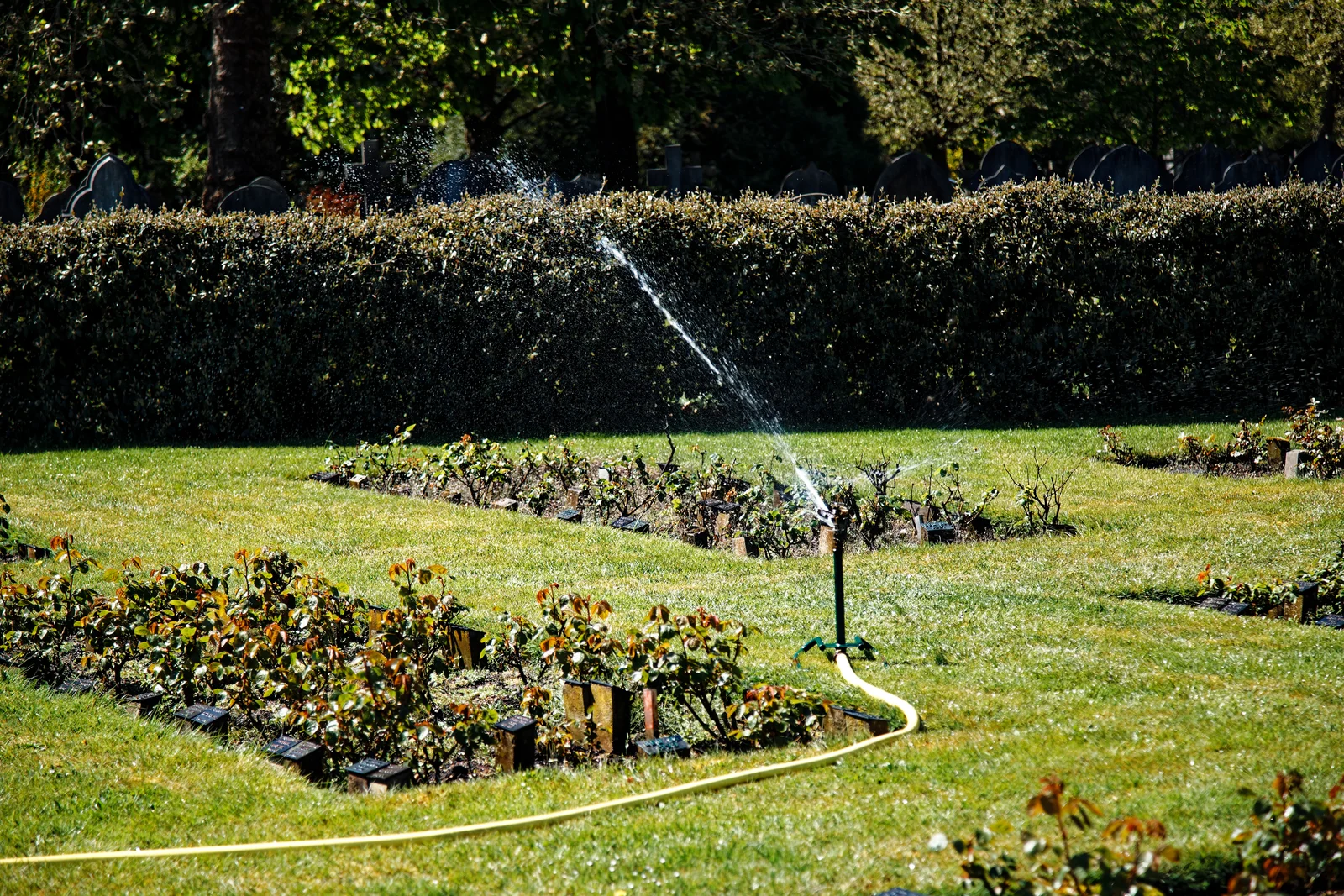 Meilleur programmateur d'arrosage connecté 2026 : top 5 jardin